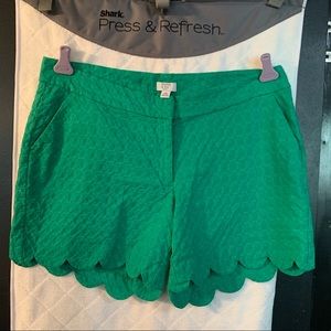 18w Crown & Ivy shorts